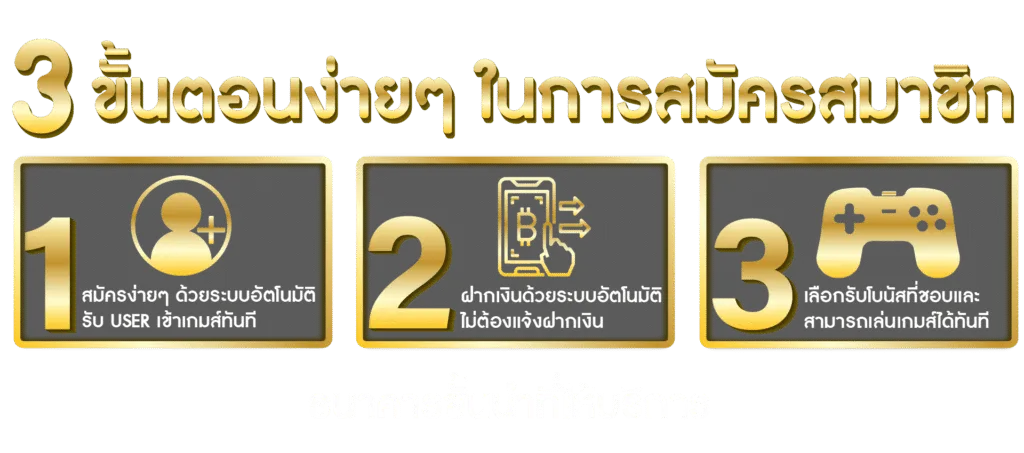 ezx321 ทางเข้า
